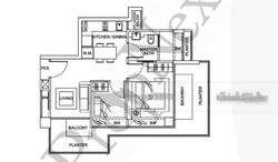 the-aristo-@-amber photo thumbnail #17